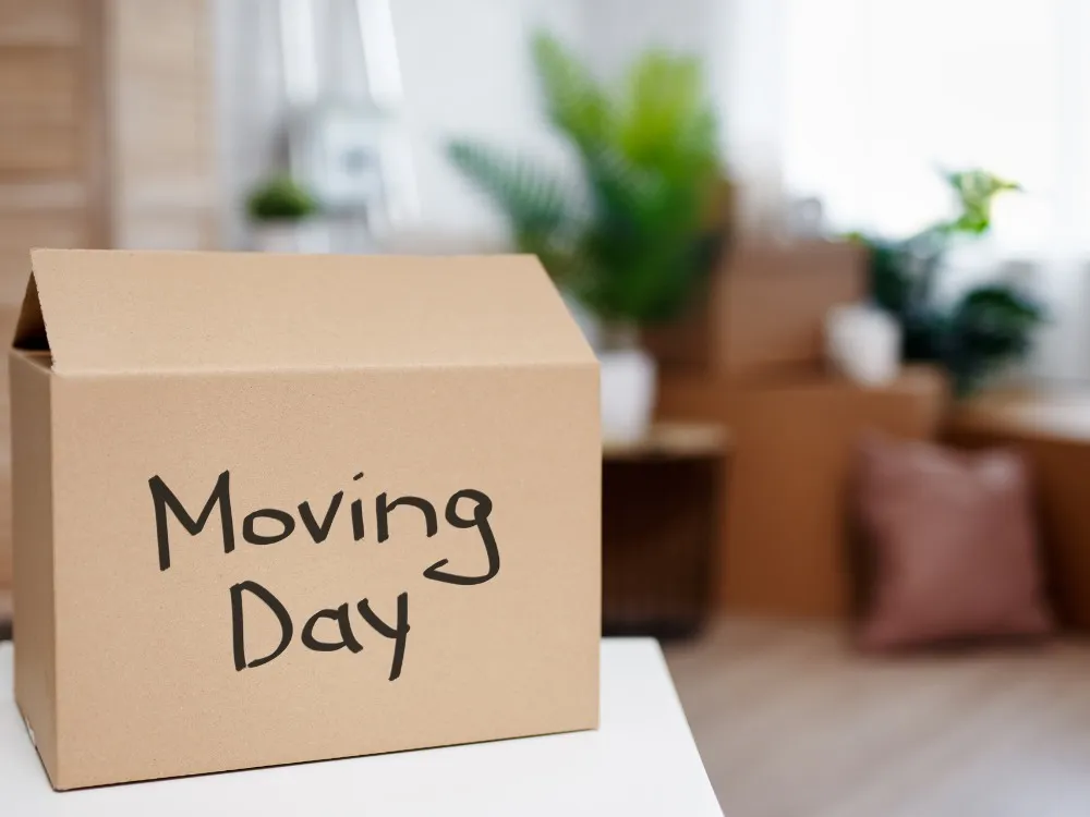 7 Tips to Find Best Moving Companies in Hong Kong post illustrative image